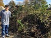 Hallett and his project team had to remove a thick layer of brush and trees that obscured many of the slate grave markers. 