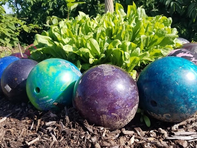 The popular Master Gardener Idea Garden​ open house will be on July 20. 