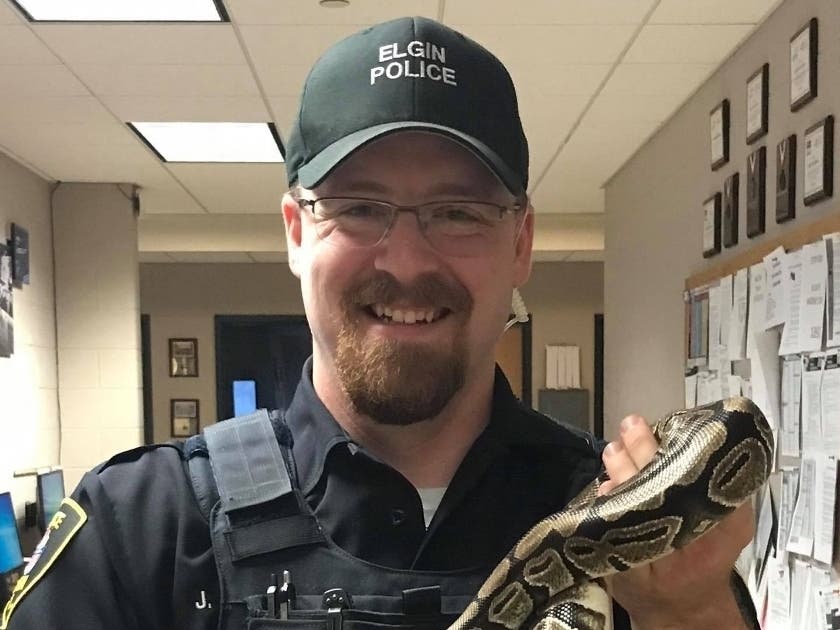 Elgin Police Department Officer J. Collins fielded a strange call Thursday night. 