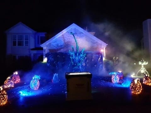 ALIEN INFESTATION, 11775 EVERGLADES ROAD, HUNTLEY, IL