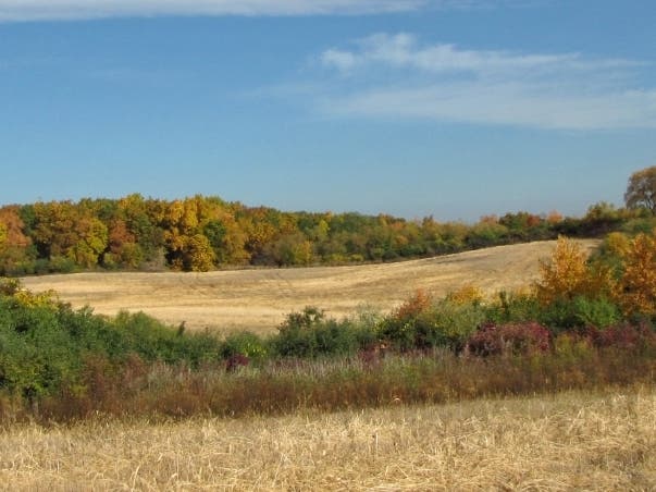 Walk with a Naturalist takes place November 2 at Pine Dunes Forest Preserve in Antioch.