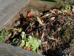 composting curbside adding