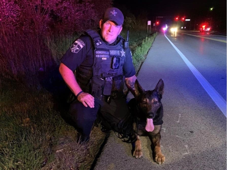 Officer Craig Somerville and his K9 partner Diesel helped to track down a man who'd walked away from hospital Saturday night. 