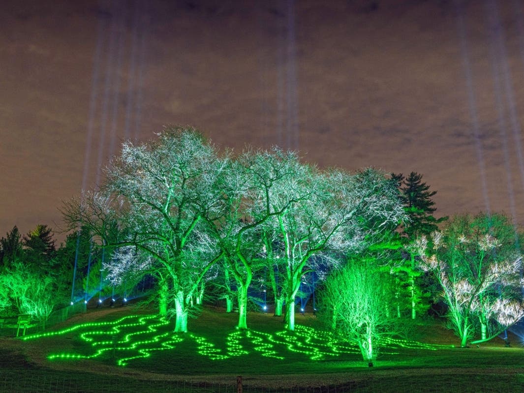 Lightscape at Morton Arboretum will again let visitors walk through the display this year. Last year, the popular display opted for a drive-thru experience due to the coronavirus pandemic. 