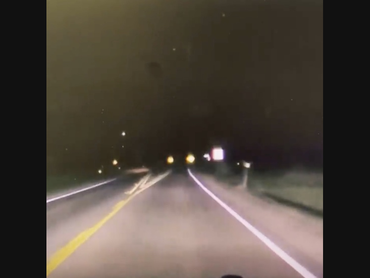 A bison was spotted by an Island Lake Police Department officer crossing Darrell Road near Case Road in recent days. 