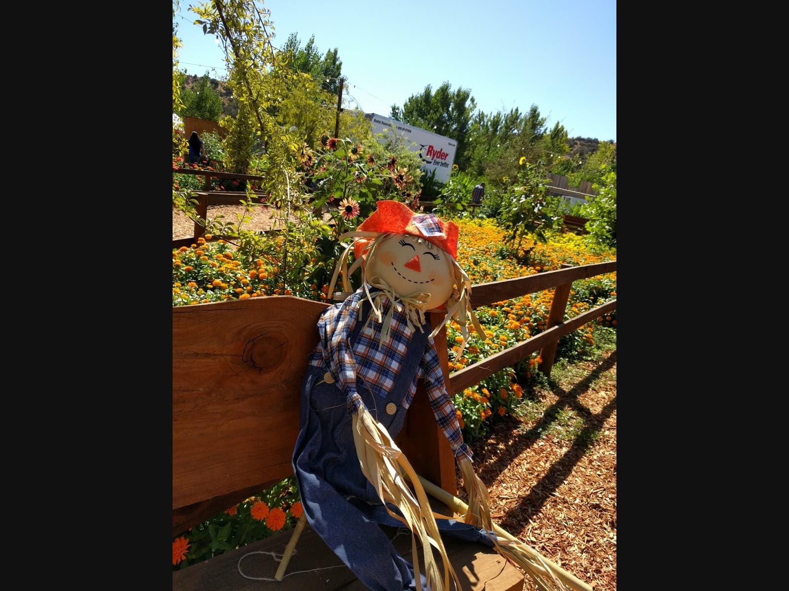 The festival will run Friday, Oct. 7, through Sunday, Oct. 9, in downtown St. Charles. Businesses, groups and individuals can choose to participate in four different categories. 