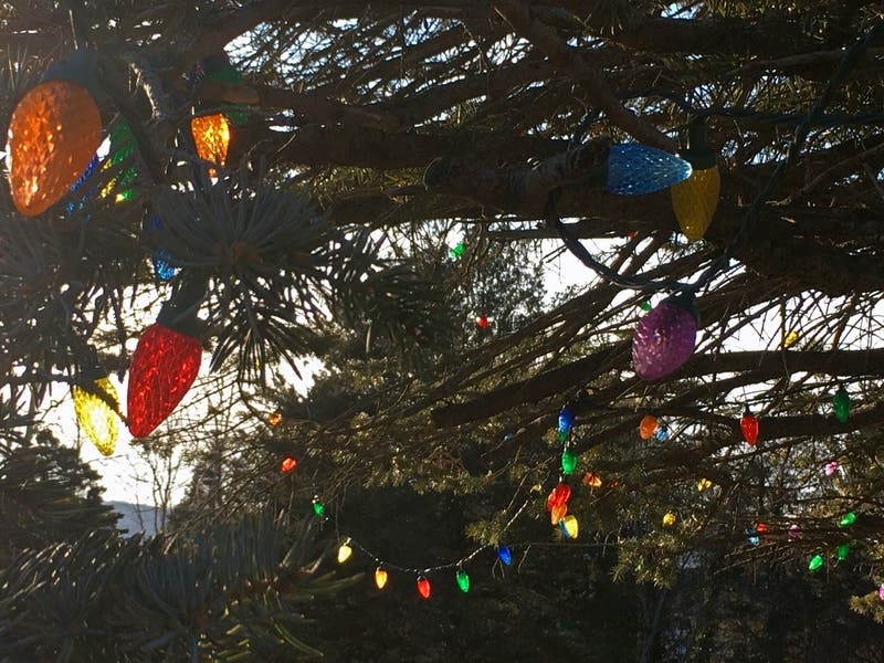 Trees will be picked up on both sides of the river on the regularly scheduled refuse day, according to a news release from the city of St. Charles.