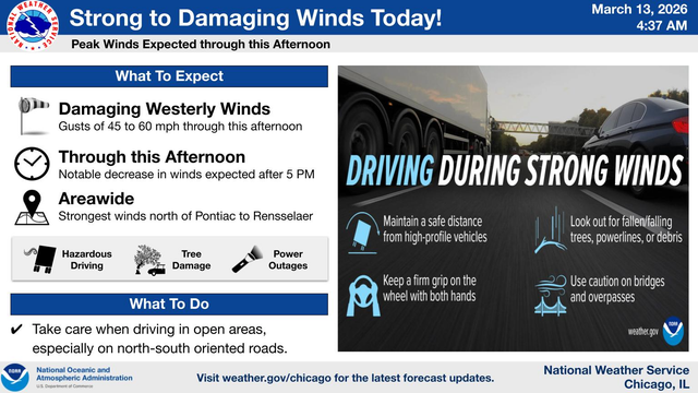 High Winds Knock Out Power, Down Trees And Traffic Lights Across ...