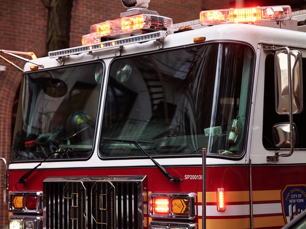 Charlotte The Pig Back Home After Escaping House Fire: Officials