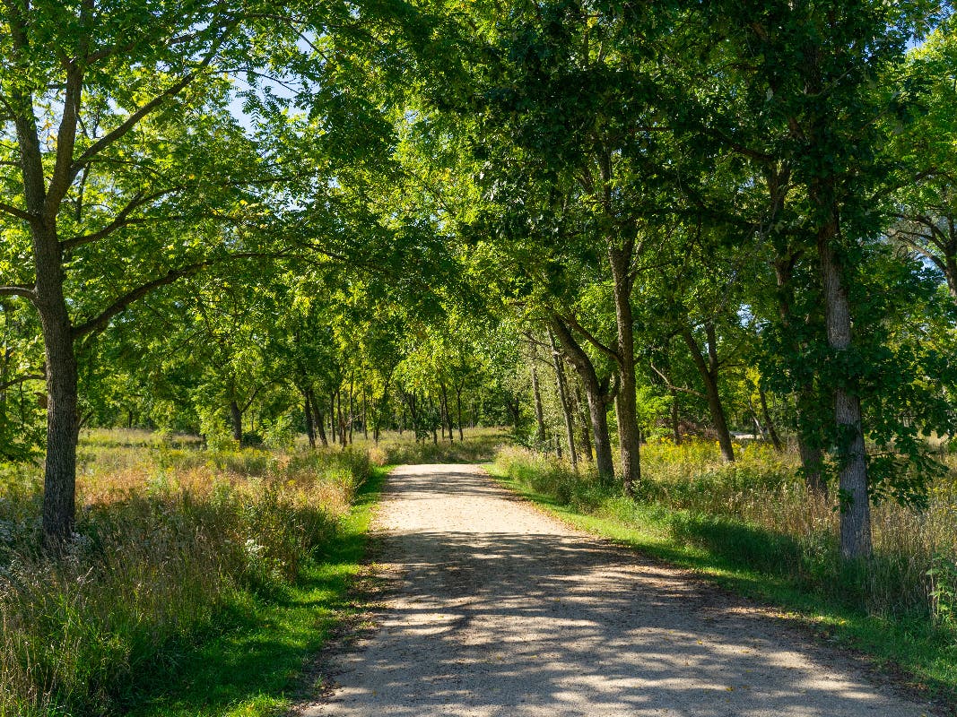 Lake County Forest Preserves Unveils Roadmap For Next Four Years