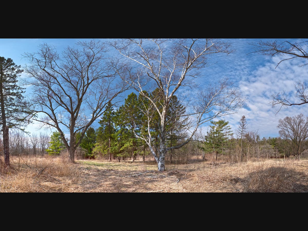 Dutch Gap Forest Preserve Restoration To Revive Wetlands, Prairies In Antioch
