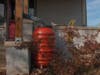 Julia Mann installed a rain barrel that helped reduce the amount of water in her basement after a rainstorm and enables her to use the collected water to water her roses.