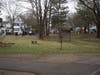 White Park Easter Egg Hunt