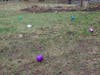 White Park Easter Egg Hunt