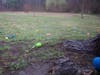 White Park Easter Egg Hunt