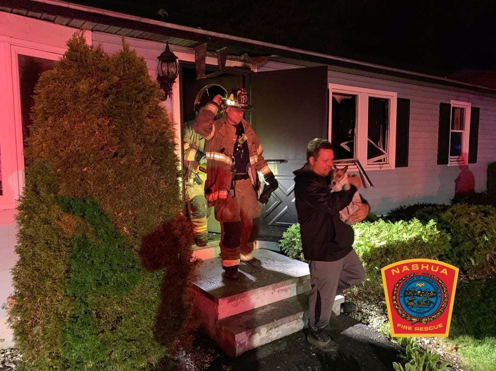A dog is returned to its owner after a fire on June Street in Nashua on May 5, 2019.