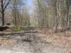 The end of District 5 Road is the start of 234-acres of former agriculture land and woods the city is attempting to get.