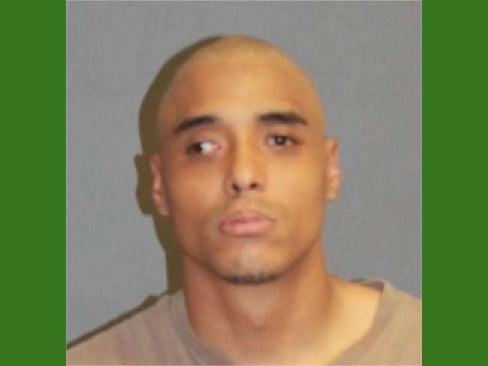 Odalis Santana was arrested this week on domestic violence and other assault charges. 