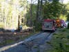 Firefighters, including a forestry unit, extinguished a brush fire on White Rock Hill Road on Sept. 21.