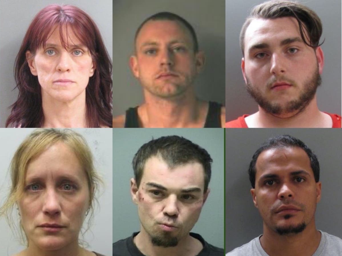 Upper row: Melissa Yaratz, Kyle Viau, and Domenic Vitello. Lower row: Richard Williams, Melissa Whittum, and Kelvin Trinidad. 