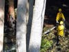 Firefighters spent many hours June 24 battling a brush fire at Clough State Park. 