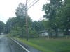 A tree hangs on a wire on Mountain Road in Concord Aug. 4 during Tropical Storm Isaias.