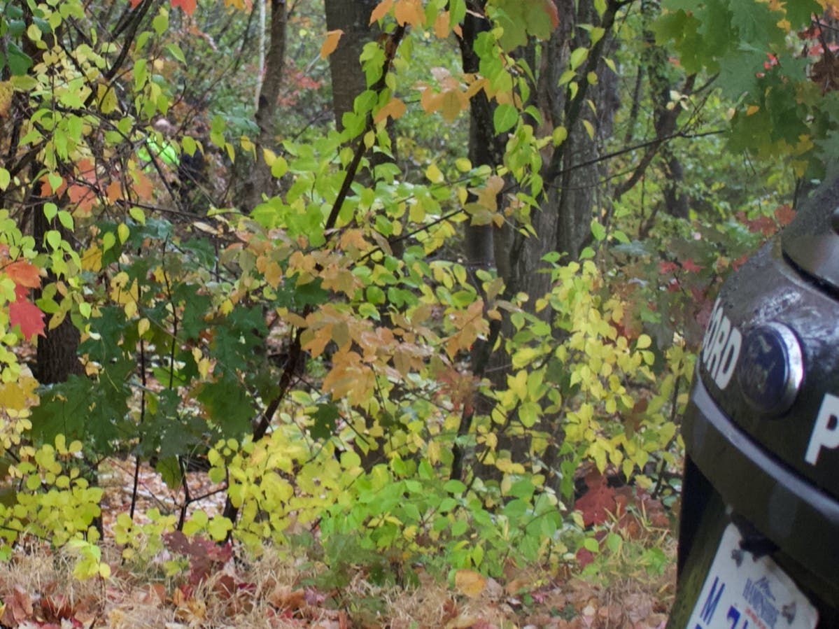 Limited information is available about the discovery of a body in the woods off Fisherville Road on Oct. 16.