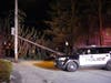 A tree fell on Thompson Street in Concord due to wind on March 1.