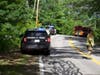 A single-vehicle crash was reported on Horse Hill Road in West Concord on June 16.