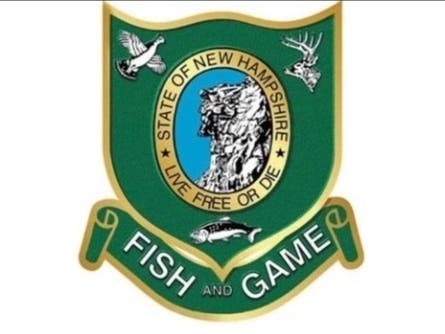 A Connecticut hiker with a leg injury was carried by conservation officers and volunteers off part of Mt. Pierce on July 21.