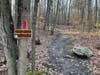 Concord police spend hours on Dec. 13 searching the woods along the Swope-Winant Connector path searching for a man reportedly crying for help. 