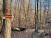Concord police spend hours on Dec. 13 searching the woods along the Swope-Winant Connector path searching for a man reportedly crying for help. 
