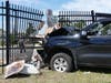 A pickup truck crashed into the National Guard fence near Pembroke Road in Concord on June 13. 