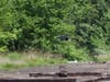 Concord police and a New Hampshire medical examiner are investigating a death at a homeless camp along the railroad tracks on Storrs Street on June 13. 