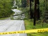 A tree fell on Fisk Road in Concord on July 12. 