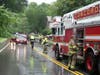 A tree fell on a minivan on East Side Drive in Concord on July 12. 
