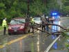 A tree fell on a minivan on East Side Drive in Concord on July 12. 