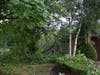 Trees were knocked down by a storm on July 12 causing damage to a sign and building at the Hood Plant on North State Street. 