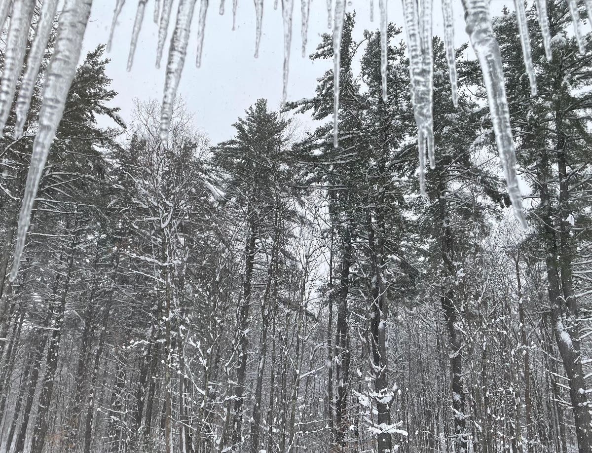 Heavy, wet snow, including about a foot that fell overnight in Concord, has knocked out power for tens of thousands. 