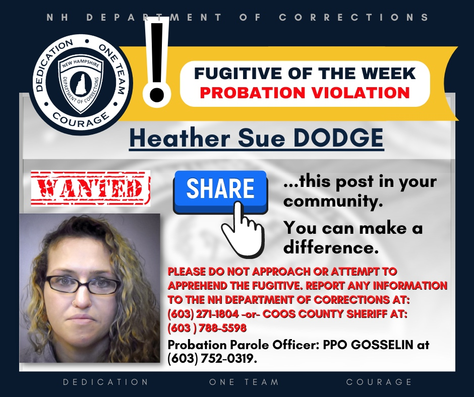Heather Sue Dodge is wanted on a probation violation after repeatedly being convicted on drug charges, specifically methamphetamine. Have you seen her?