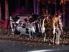 Concord police are investigating a rollover crash on Abbott Road in Penacook on Dec. 10.