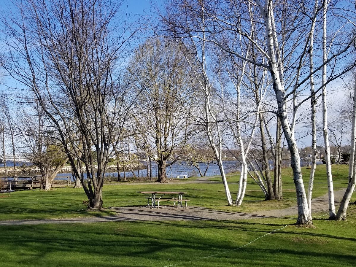 The City of Portsmouth Public Art Review Committee is in the early stages of planning a public art project for Peirce Island.