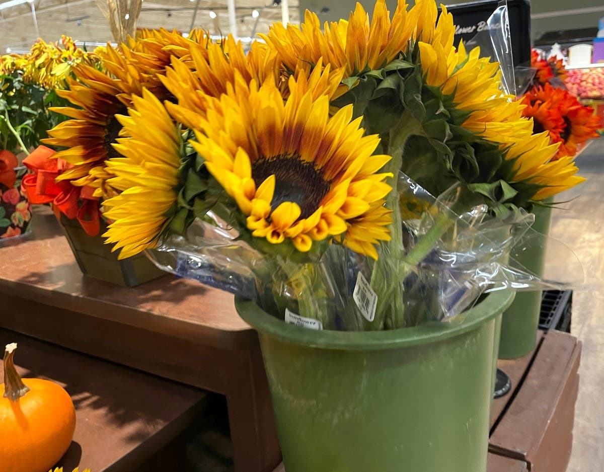 There is a lot to do this weekend in the Granite State. Plus, the weather.