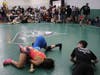 Wrestlers competing at the 2024 Castleton University Fall Classic Wrestling Tournament​ in Castleton, Vermont, Oct. 13.