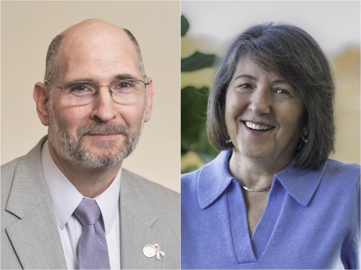 CCSNH Chancellor Mark Rubinstein plans to retire before the start of the 2026-27 academic year, while Donnalee Lozeau is the incoming CCSNH board chairwoman.