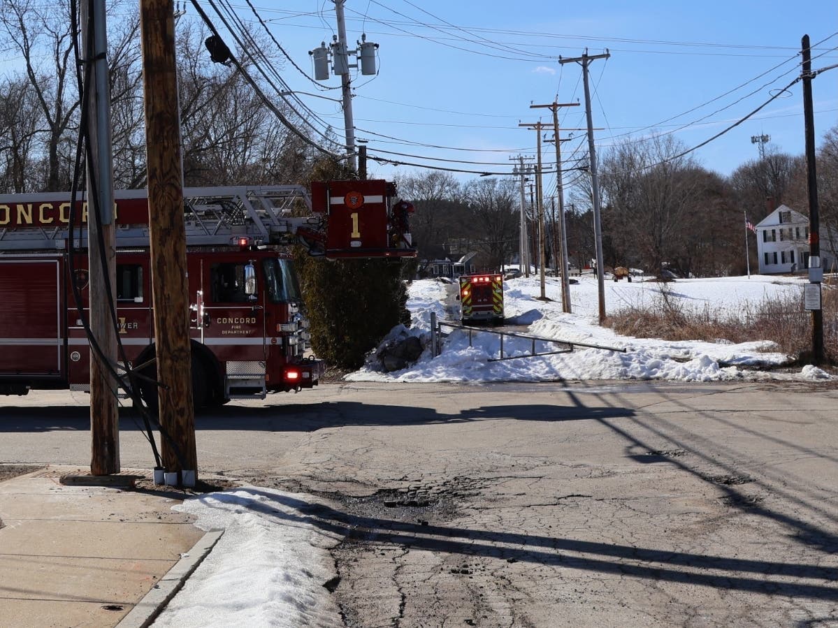 Concord Police Investigating Body Found In The Woods On Horseshoe ...