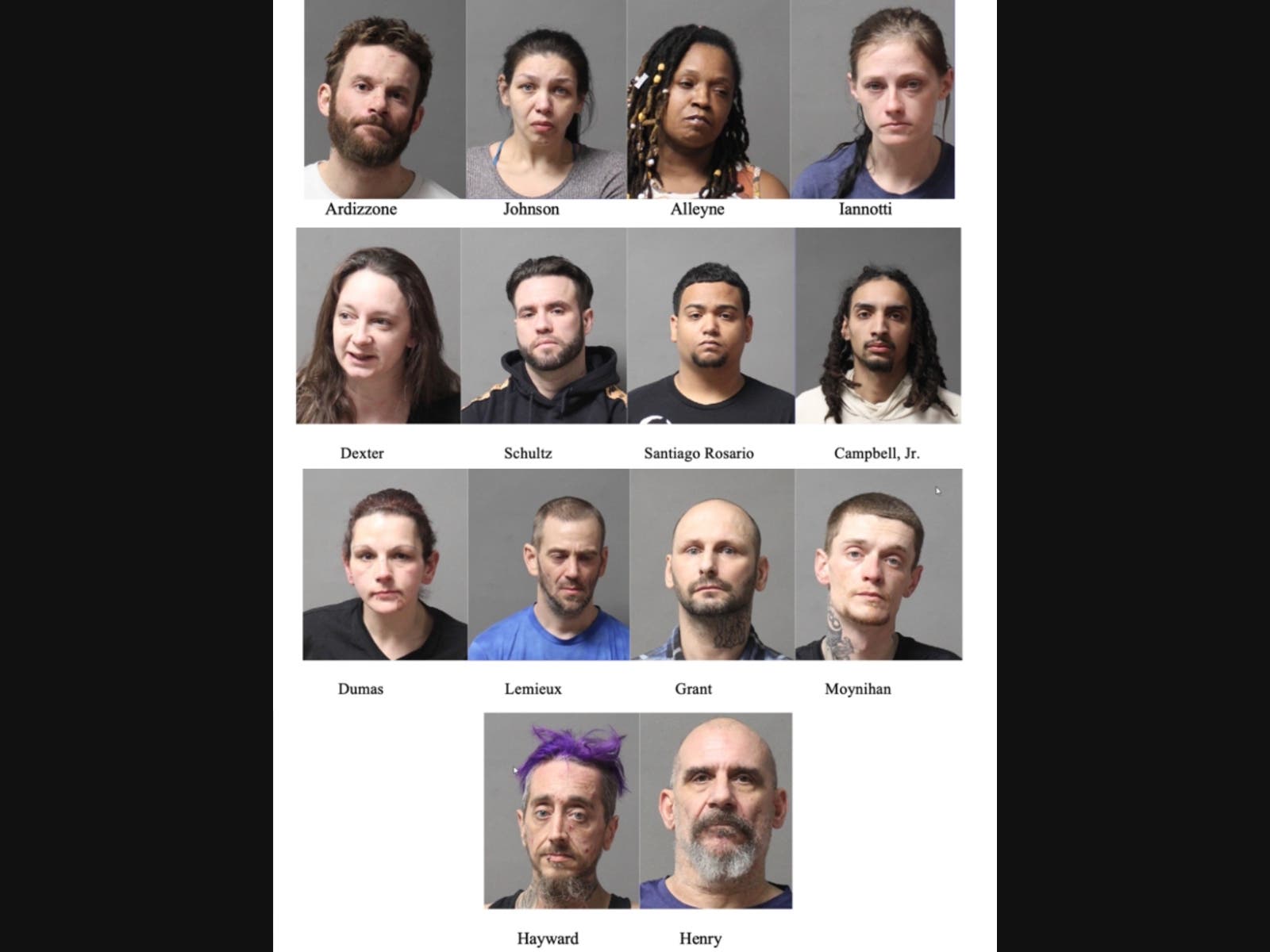 Nashua Police Department arrested 14 people on various charges in March.