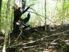Firefighters battled a brush fire in Concord, not far from the Webster town line on May 20.