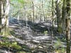 Firefighters battled a brush fire in Concord, not far from the Webster town line on May 20.