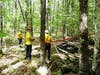 Firefighters battled a brush fire in Concord, not far from the Webster town line on May 20.